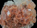 Aragonite Twinned Crystal Cluster - Morocco #59787-2
